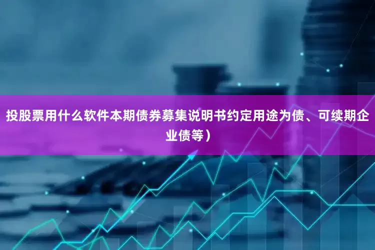 投股票用什么软件本期债券募集说明书约定用途为债、可续期企业债等）