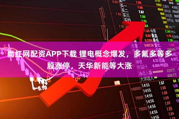 尚红网配资APP下载 锂电概念爆发，多氟多等多股涨停，天华新能等大涨