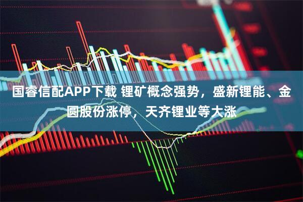 国睿信配APP下载 锂矿概念强势，盛新锂能、金圆股份涨停，天齐锂业等大涨